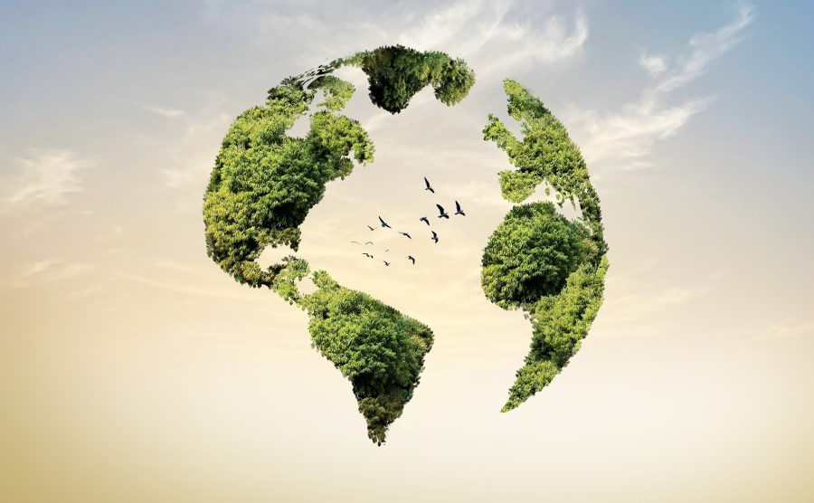 UCM Sustentable hace un llamado a la acción en la semana de tres importantes eventos ambientales
