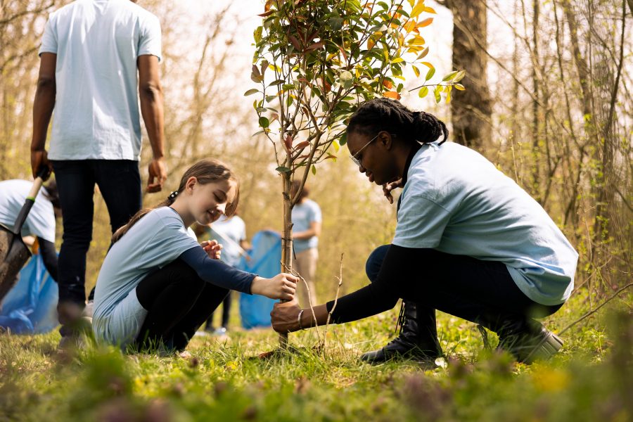 UCM Sustentable conmemora el Día Mundial de la Educación Ambiental: Un compromiso con el futuro