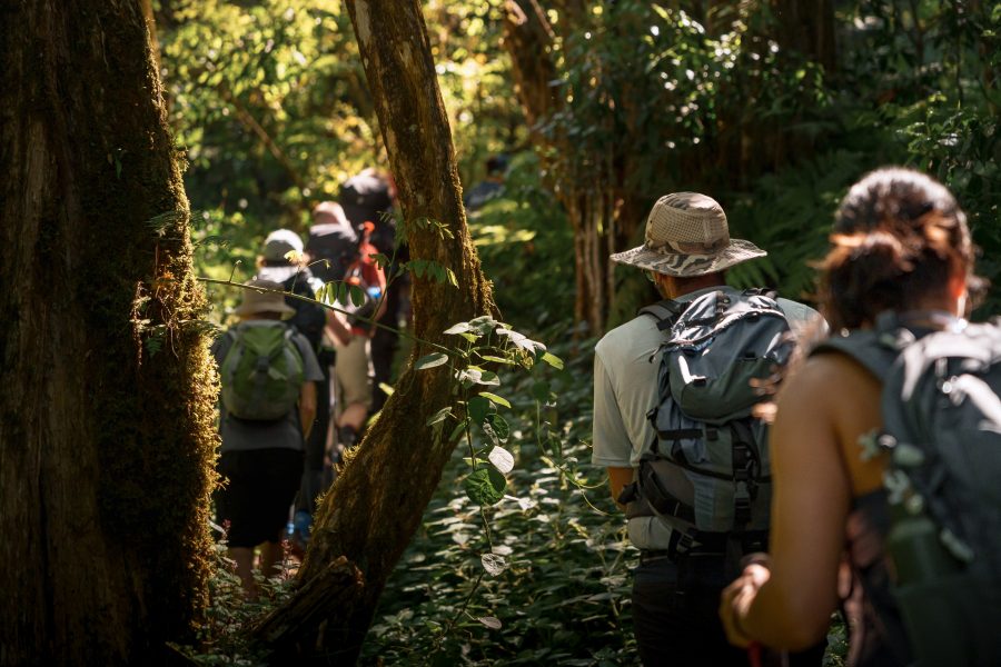 UCM Sustentable hace un llamado a la conservación y el uso sustentable para el Día Internacional de los Bosques