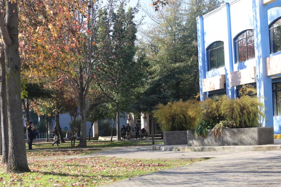 El SIBIB hace parte de un proyecto piloto de la Biblioteca Nacional de Chile