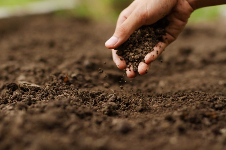 Opinión: Día mundial del suelo: perspectivas ambientales básicas