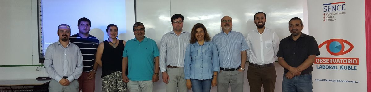Académicos del Observatorio Laboral del Maule, capacitaron a sus pares de Ñuble