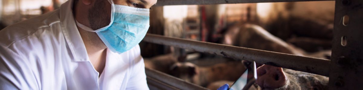 UCM suma a su oferta académica a Medicina Veterinaria con fuerte sello de sostenibilidad