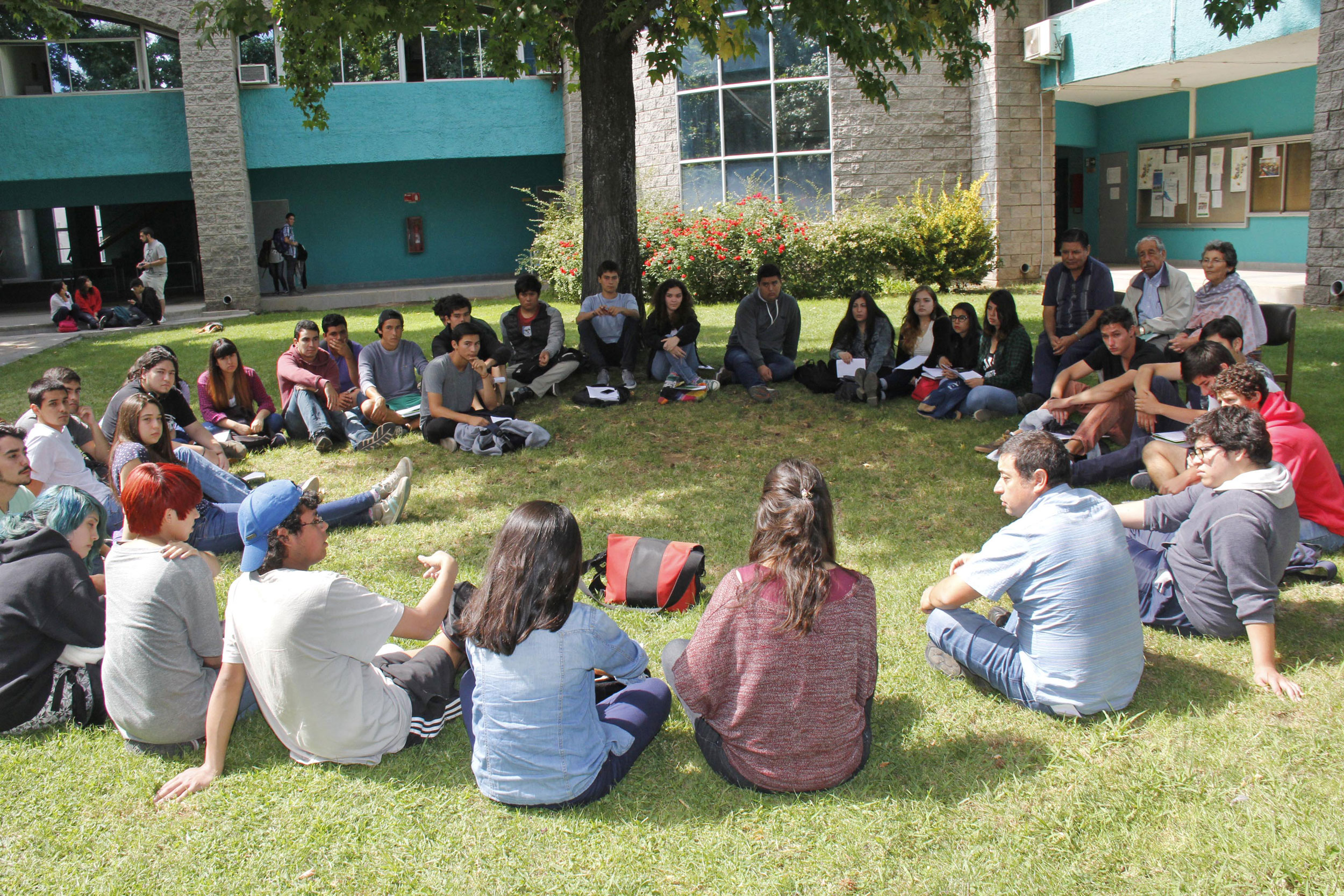 Bachiller en Cs. Sociales y Económicas El plan de estudios de la UCM